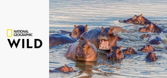 Самые опасные убийцы S1E3