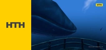 "Случайный свидетель".