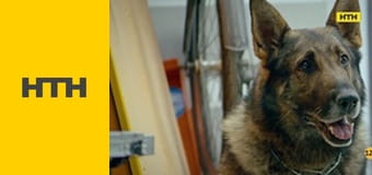 Т/с "Дрон", 31 і 32 с.