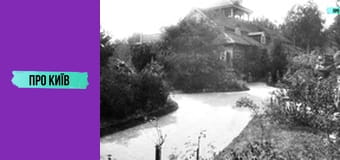 Де погуляти в Києві восени? Секретна київська оаза. Сирецький Дендропарк.