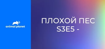 Плохой пес S3E5 - Избалованные питомцы