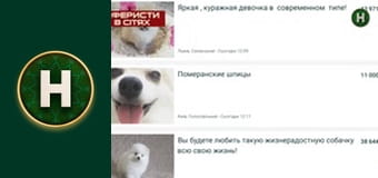 Служба розшуку дітей