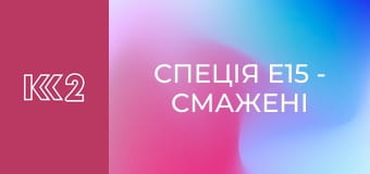 Спеція E15 - Смажені яйця