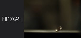 Т/с "Нюхач" Сезон 2 - Серия 8 Т/с "Нюхач" Сезон 2 - Серия 8