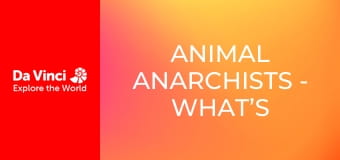 Animal Anarchists - What’s Living in This Cave?