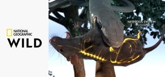 Легенды Венома S1E1