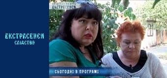 Двор вдовы. Часть 1