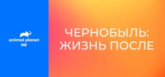 Чернобыль: жизнь после