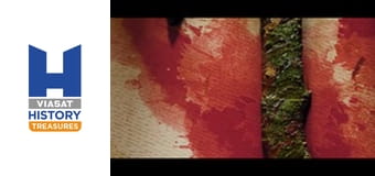 Прокляті скарби Сезон 1 Епізод 5