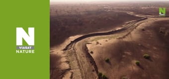 Hot Life: Africa - Leopard, Sand and Heat