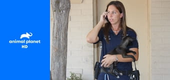 Полиция Феникса: Отдел по защите животных S15E9 - Преступные намерения