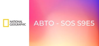 Авто - SOS S9E5 - Дженсен Интерцептор