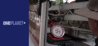 На Власні Очі. - серия 8