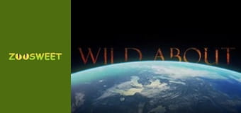 Дике життя, Сезон 1, Випуск 8