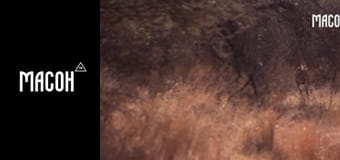 У пошуках знань. Рослини. Чи можуть вони думати та відчувати? У пошуках знань. Рослини. Чи можуть вони думати та відчувати?