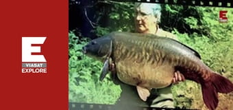 Monster Carp - UK