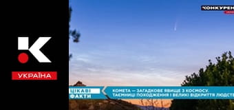 Интересные факты.