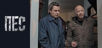 Dog, Season 6, Episode 12