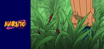Naruto Season 1 Episode 31