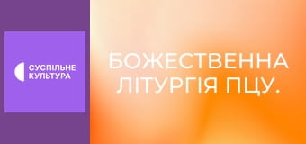 Божественная Литургия ПЦУ.