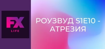 Роузвуд S1E10 - Атрезия аорты и арт-инсталляции