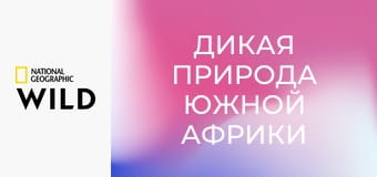 Дикая природа Южной Африки S1E3 - Убийцы Калахари