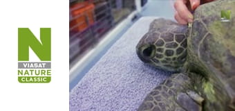 Wildlife Rescue Australia Season 1 Episode 3