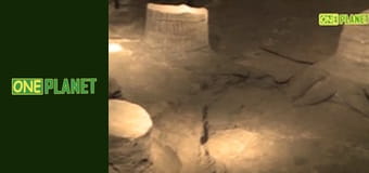 Цікаво.com, 2 сезон, 3 еп.