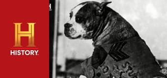 Невероятное с Дэном Эйкройдом, 2 сезон, 3 эп. Фантастические существа.