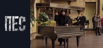 Dog, Season 6, Episode 35