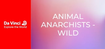 Animal Anarchists - Wild Family Parents