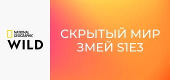 Скрытый мир змей S1E3