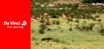 Сіяя - Рушайте з нами - Коли говорить місяць