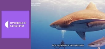 Д/с "Морські хижаки". "Довгокрила акула".