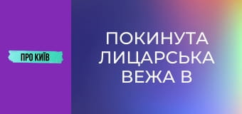 Покинута лицарська вежа в Голосіївському лісі в Києві. Що там приховано?