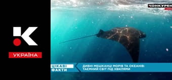 Цікаві факти.