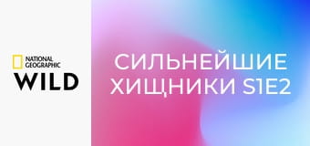 Сильнейшие хищники S1E2