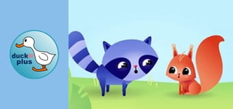 Home Sweet Home - Raccoon