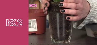 Шість соток S1E34