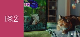 Сімейний суд E108 - Небажана невістка