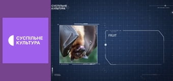 Д/с "Спецназ животного мира". "Воздушные силы".