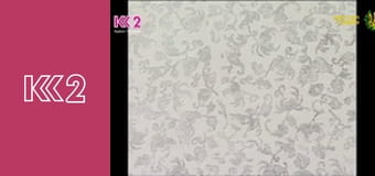 Спеція E1 - Картопля