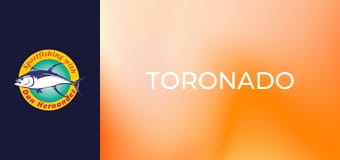 Toronado Toronado