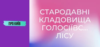 Стародавні кладовища Голосіївського лісу під загрозою забудови. Китаївська пустинь зникне.