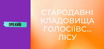 Стародавні кладовища Голосіївського лісу під загрозою забудови. Китаївська пустинь зникне.