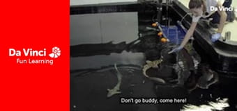 Animal Embassy - Clownfish and White Tiger