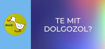 Te mit dolgozol? Te mit dolgozol?