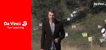 Футурис - Глобальные наблюдения