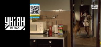 Комісар Алекс