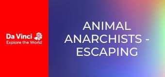 Animal Anarchists - Escaping the Wasp